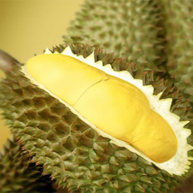durian Mawn-tawng